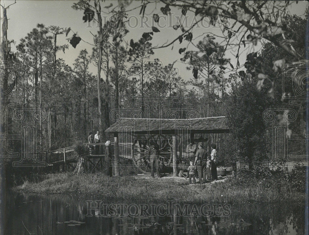 1972 Press Photo Okefenokee Swamp Park Georgia State - Historic Images