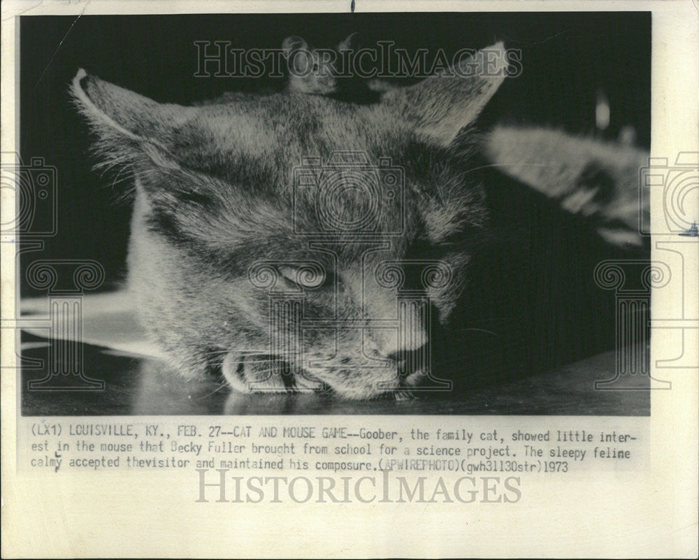 1973 Press Photo Becky Fuller school science project mouse composure cat Goober - Historic Images