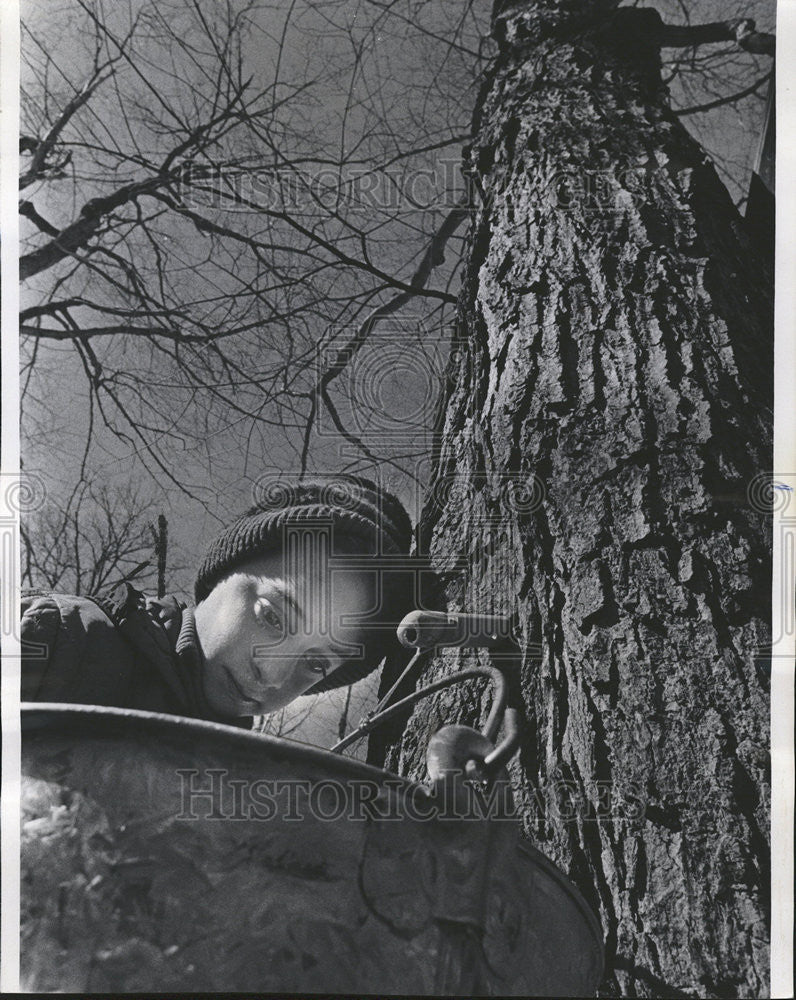 1973 Press Photo Northbrook maple syrup Naturalist River Trail Nature Center sap - Historic Images