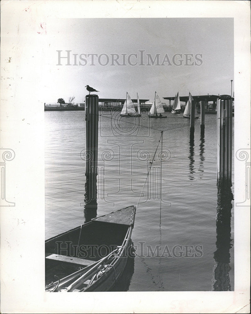 1965 Press Photo Flying Junior Class Sailboats Racing. - Historic Images