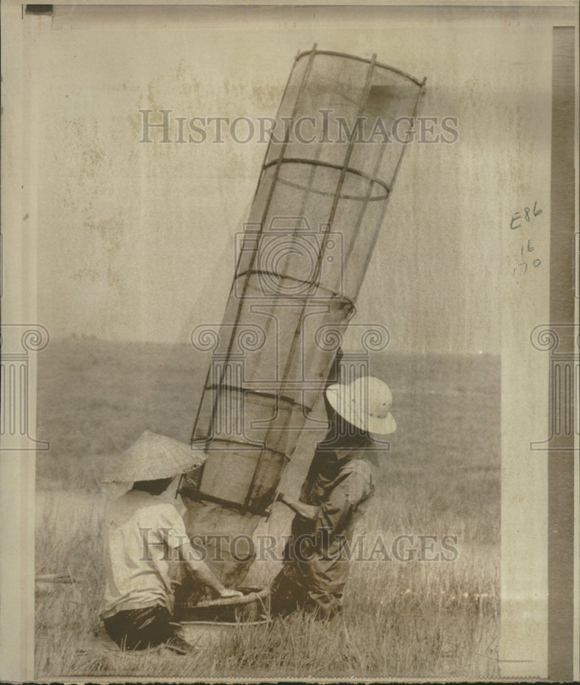 1973 Press Photo Peasant couple catch fish Saigon season Swamp harvest - Historic Images