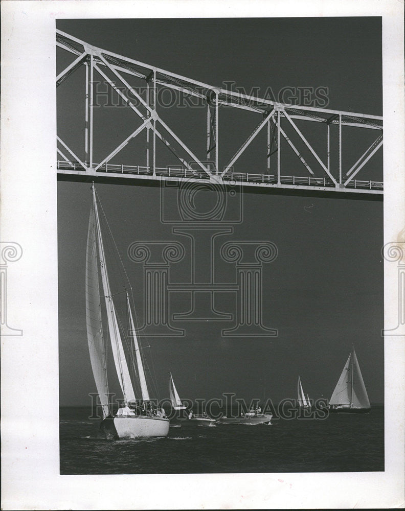 1981 Press Photo Paper Tiger Sailboat St. Petersburg-Fort Lauderdale Race - Historic Images