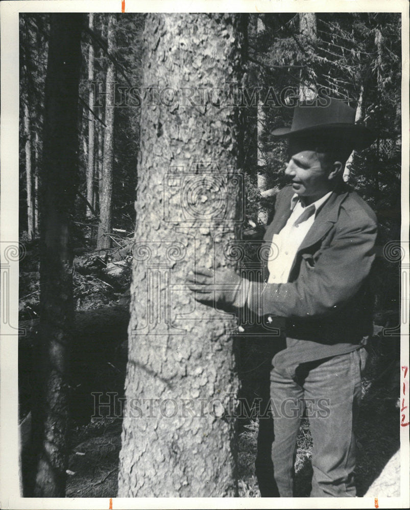 1957 Press Photo US Forest Service Rio Grande National Forest Supervisor - Historic Images