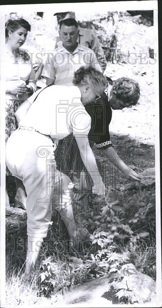 1958 Press Photo Mrs Swingle Mrs Florence Carter Dickinson Westminster Wilson - Historic Images