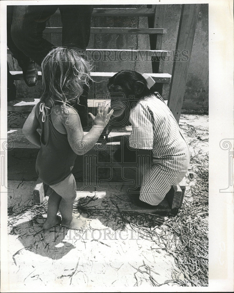 1972 Press Photo Ape Animals Forest Nature - Historic Images