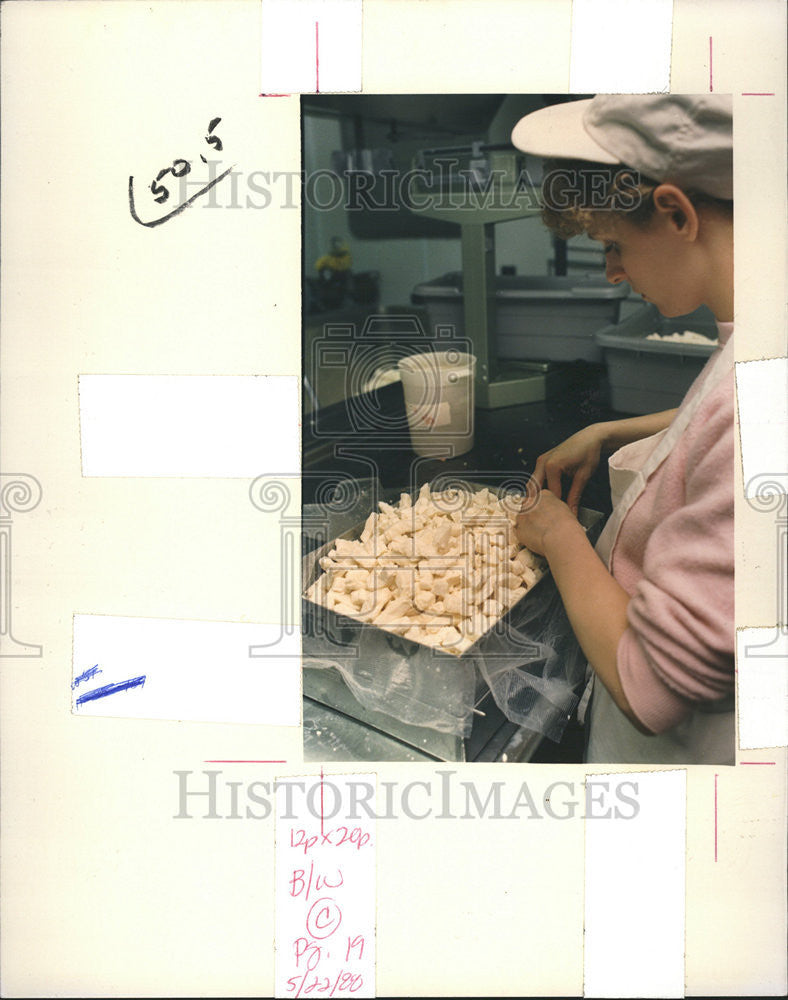 1988 Press Photo Cheesesalt added curds packed molds Compressed Food - Historic Images