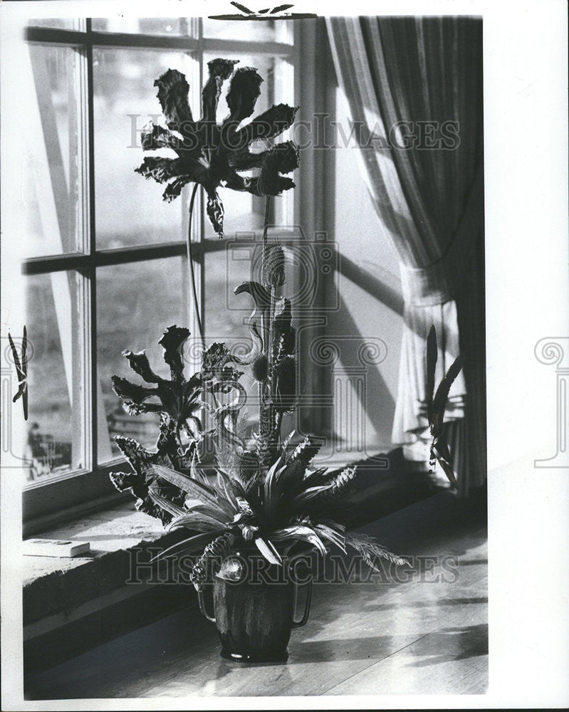 1976 Press Photo Dried Flowers At the William Geoffrey Galery - Historic Images