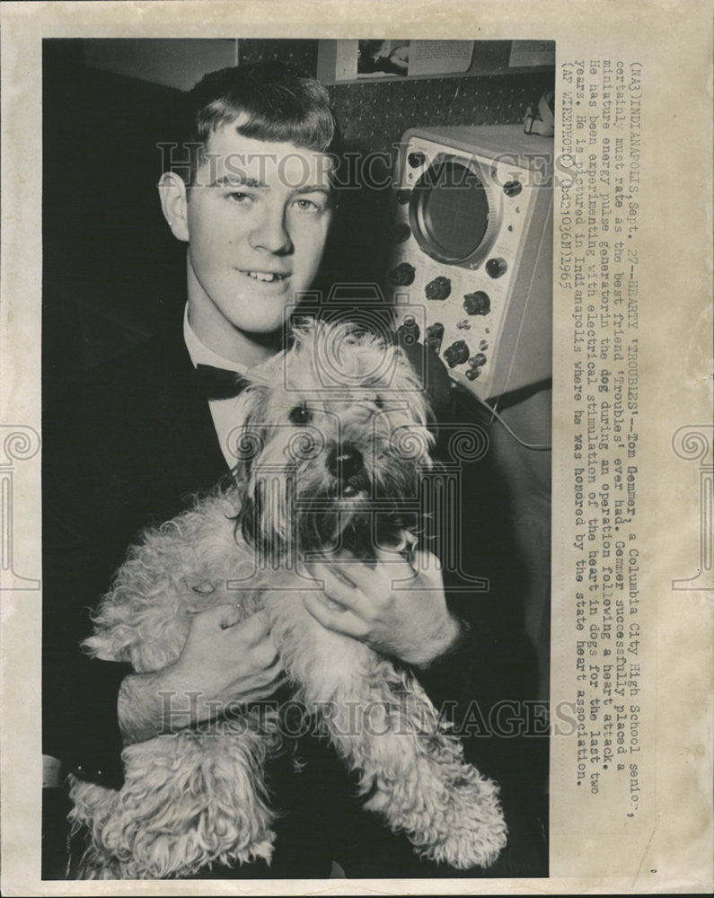 1965 Press Photo Gemmer School Senior Place Miniature Generation Dog Operation - Historic Images