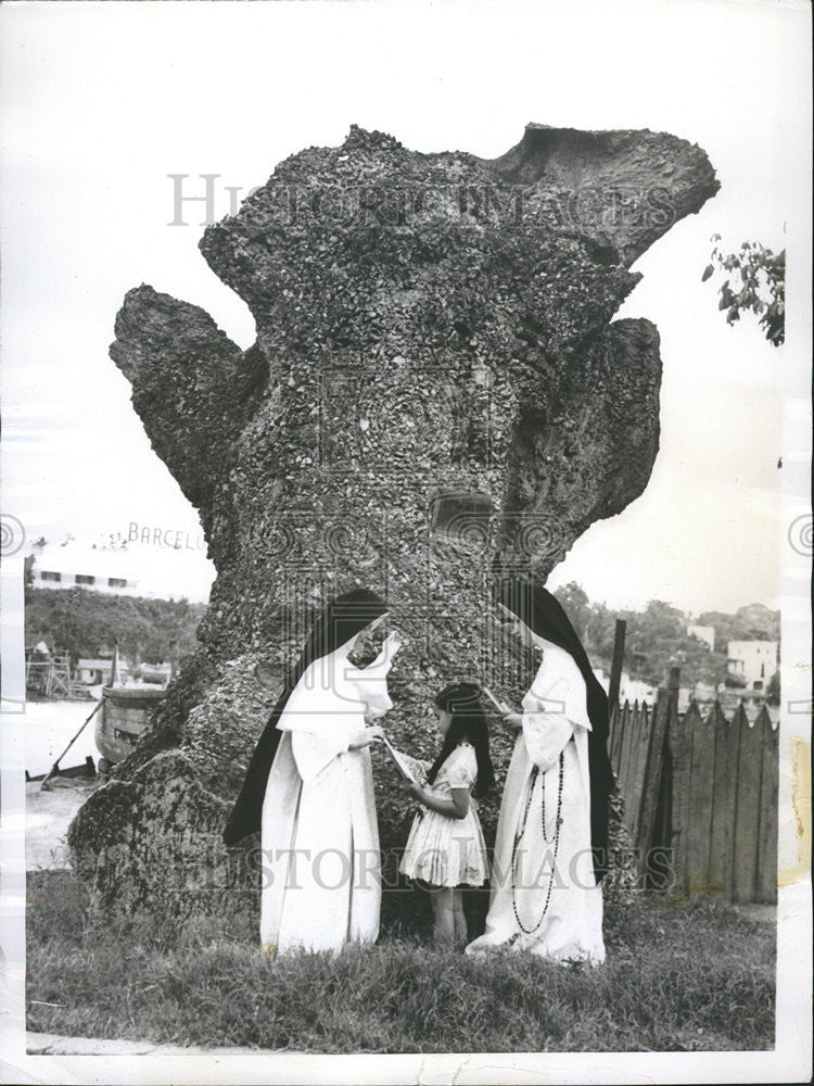 1953 Press Photo Ancient Ceiba Tree is Center of Attraction for Visitors - Historic Images