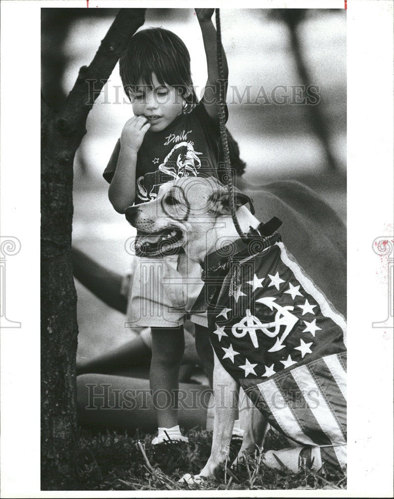 1985 Press Photo Natalie Earls patriotic dog boomer Puzzled Look - Historic Images