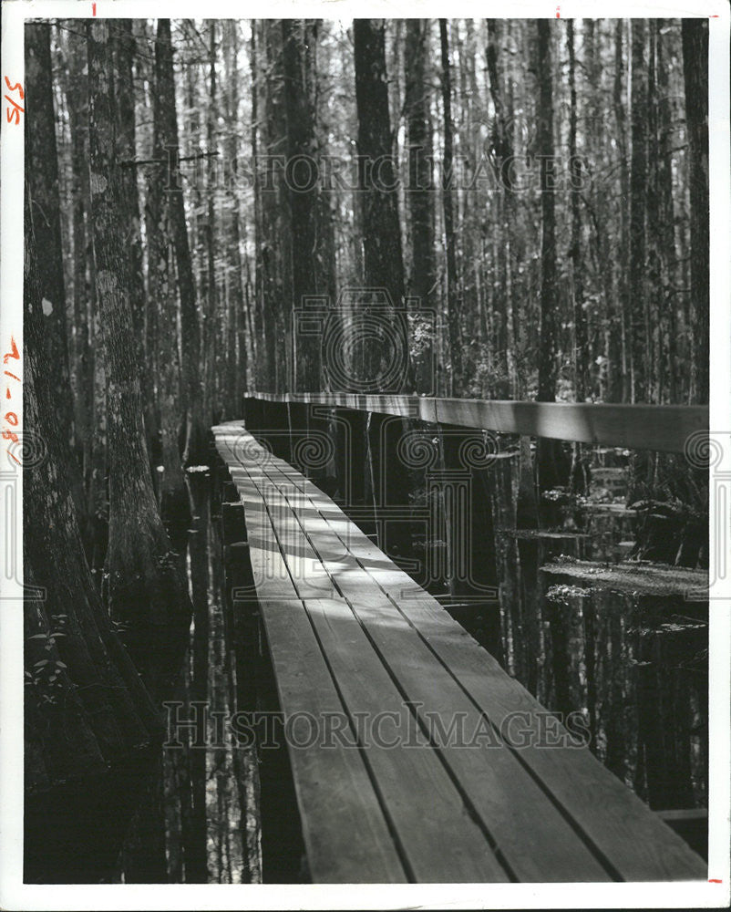 1975 Press Photo Highlands Hammock State Park - Historic Images