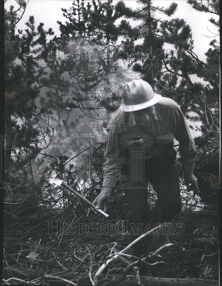 1960 Press Photo Bruce Murdoch Hurry Scene Northwest Rocky Mountian Colorado - Historic Images