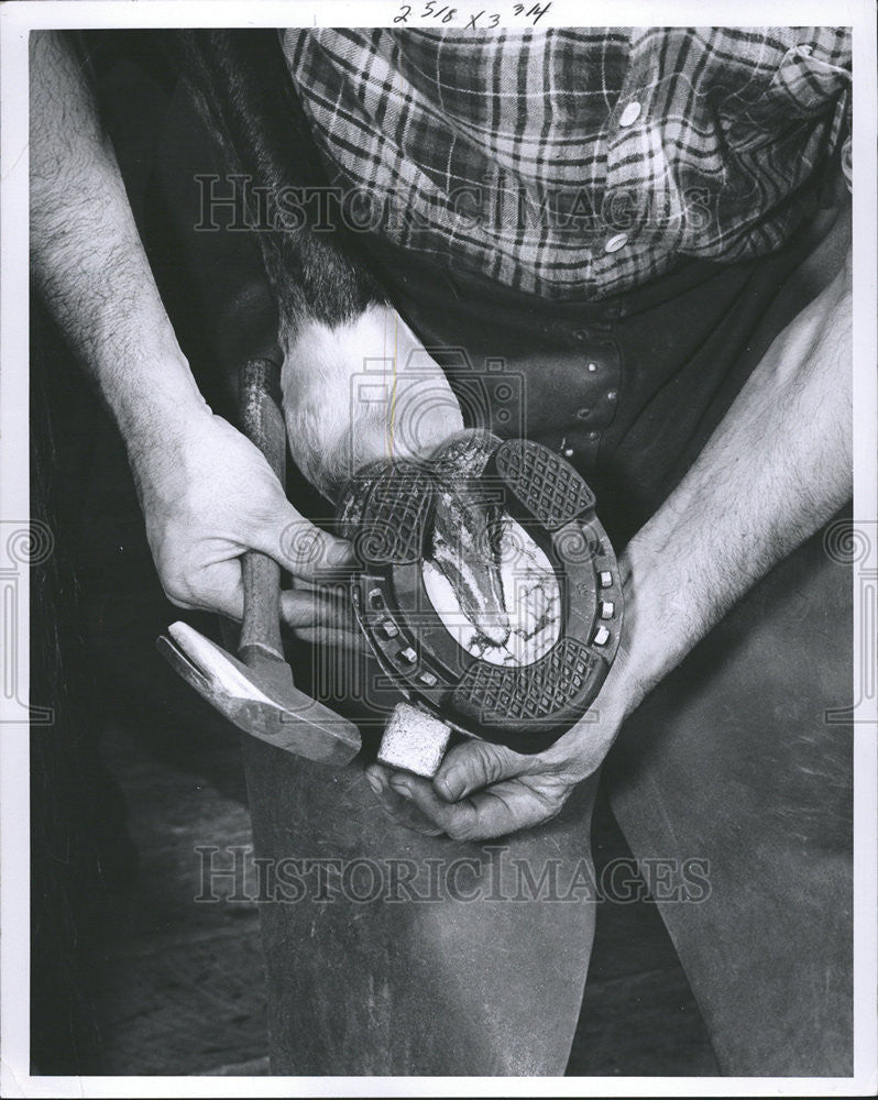 1961 Press Photo Blacksmith Antonio Monte squared hoof Nails - Historic Images