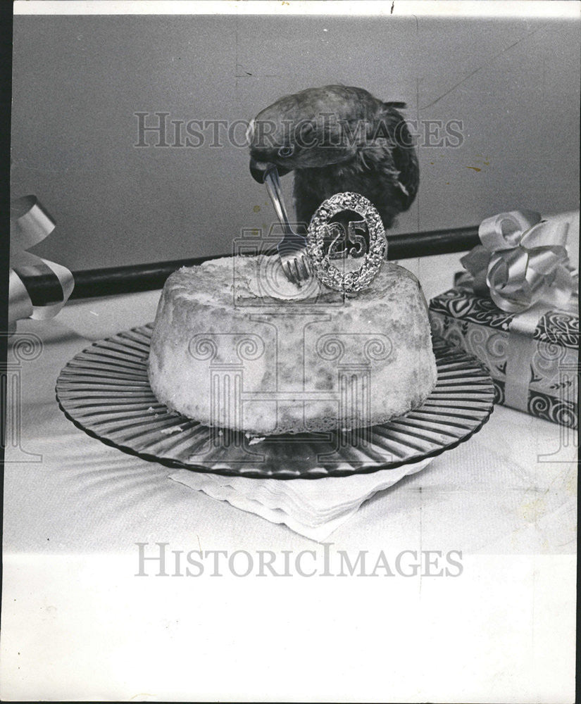 1967 Press Photo Mike, The Parrot, Receives A Silver Anniversary Cake And Gifts - Historic Images