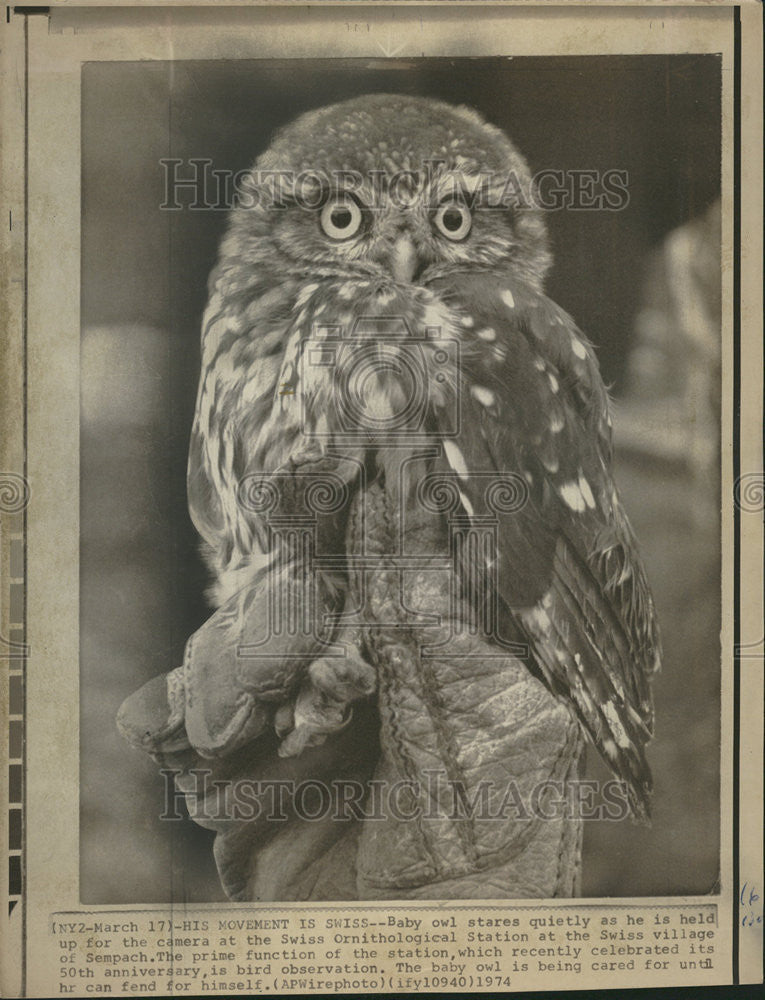 1974 Press Photo Baby Swiss Ornithological Station Village Sempach - Historic Images