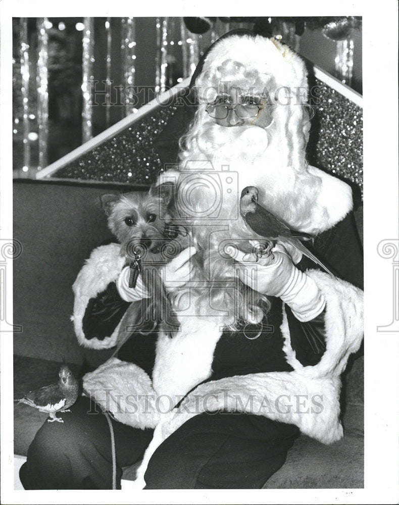 1989 Press Photo Pet Lovers Have their Pets Photographed With Santa Claus - Historic Images