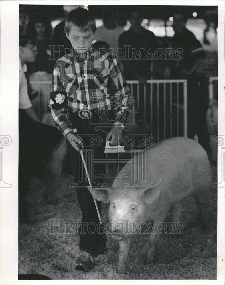 1988 Press Photo James Inman Pig 4-H Competition Lake County Fair Grayslake - Historic Images