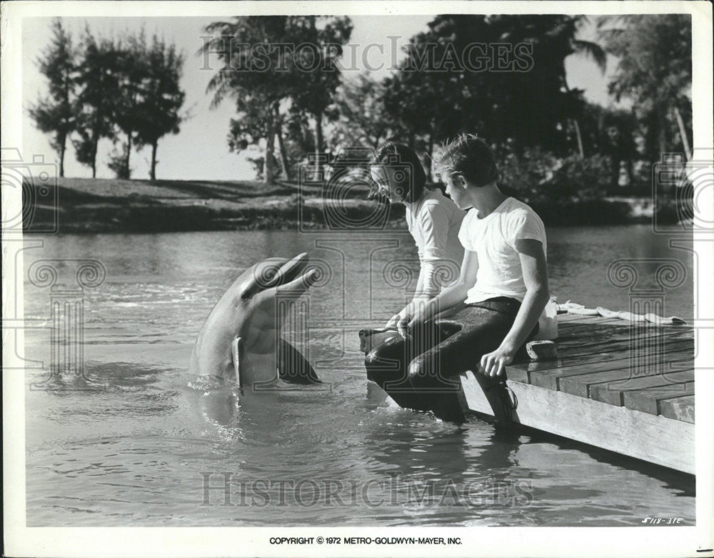 1975 Press Photo Luke Halpern Actor Dolphin MGM Flipper&#39;s New Adventure - Historic Images