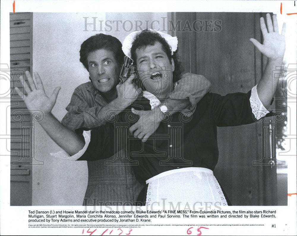 1986 Press Photo Ted Danson, Howie Mandel Star In A Fine Mess - Historic Images