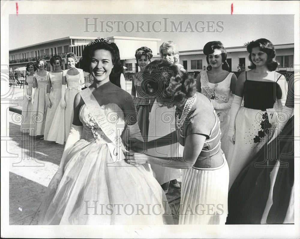 1964 Press Photo Miss Hy-Line Chick Contestants - Historic Images