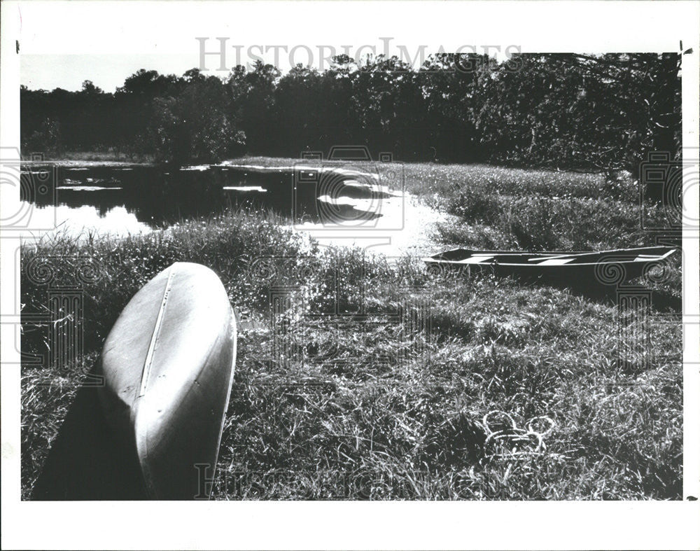 1988 Press Photo Micanopyarea environment segue suold harm - Historic Images