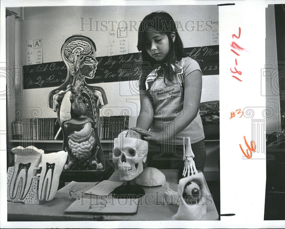 1978 Press Photo Fifth Grade Student Studying Human Brain Model - Historic Images