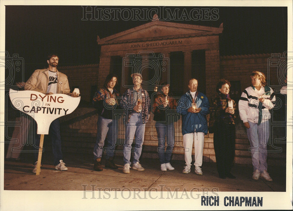 1992 Press Photo Beluga Whales died Tom Stanford Strikers - Historic Images