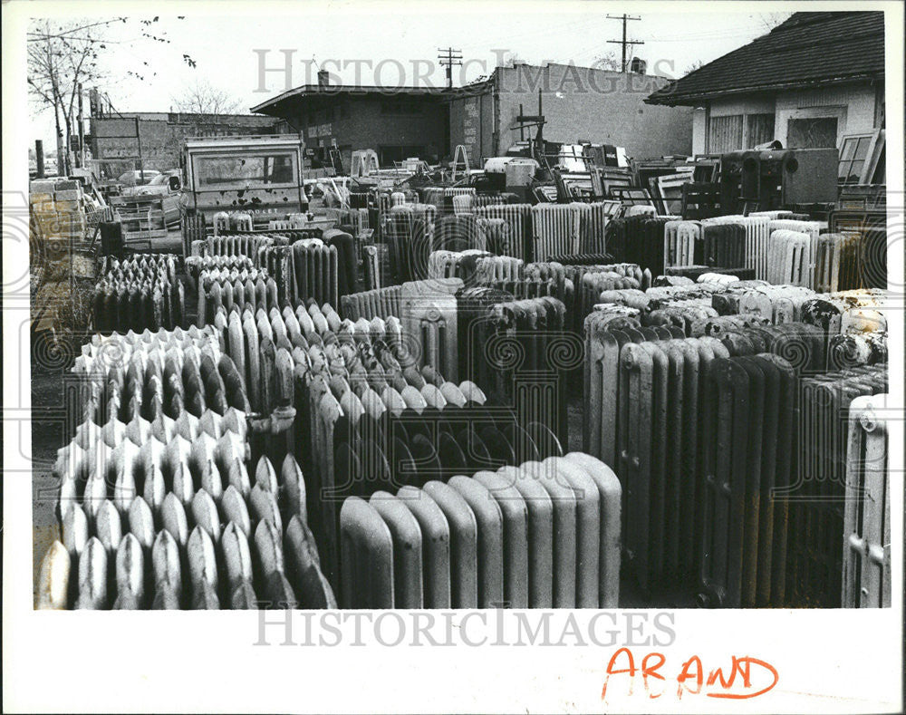 1981 Press Photo Abandoned Houses Detroit. - Historic Images