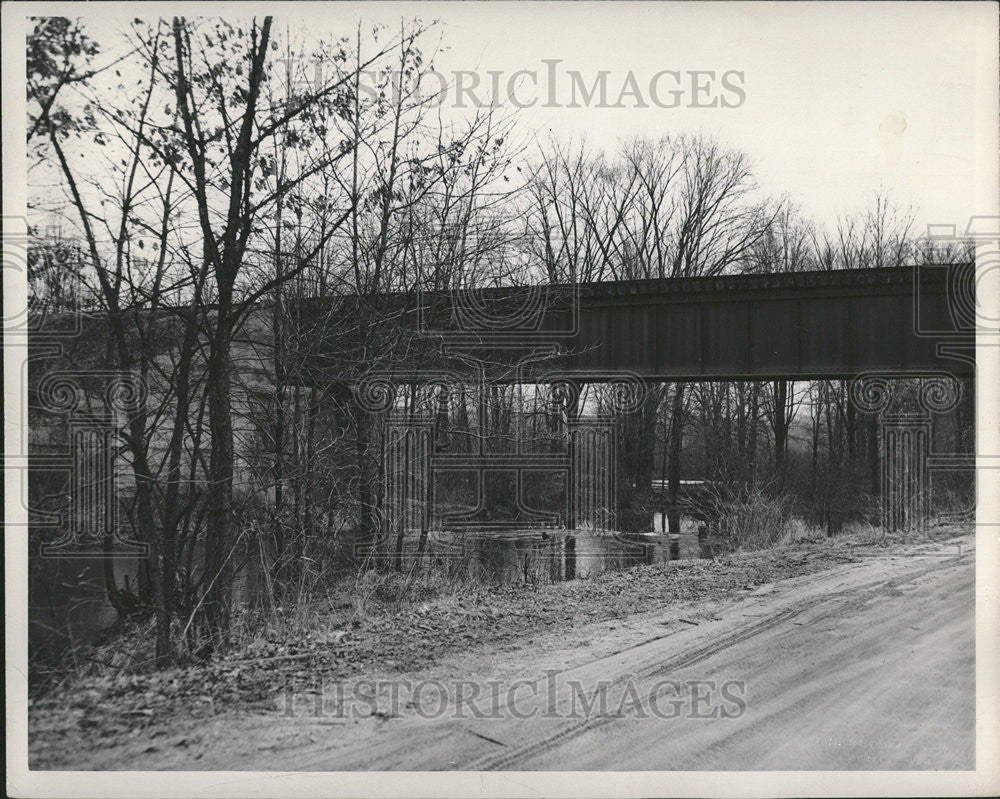 1949 Press Photo Panorama Freestone Detroit News Hikers Road - Historic Images