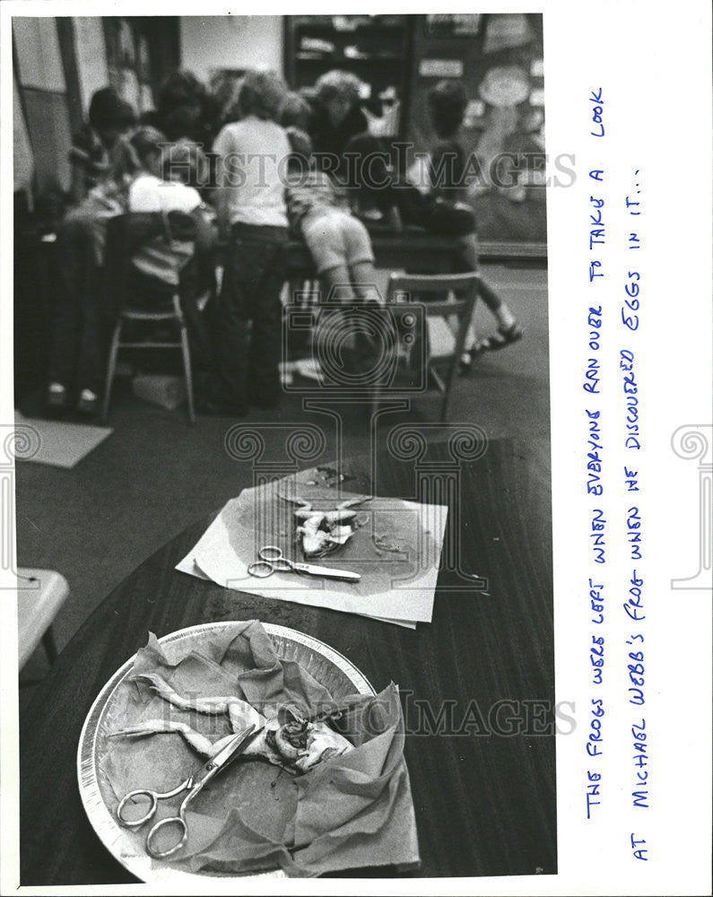 1980 Press Photo Michael Webb Discouraged Eggs Elementary school - Historic Images