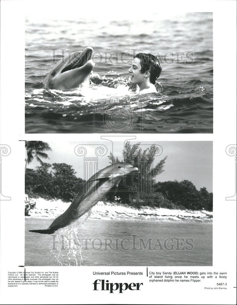 1996 Press Photo Sandy Swim Island Feisty Orphan Dolphin Flipper Meet Movie - Historic Images