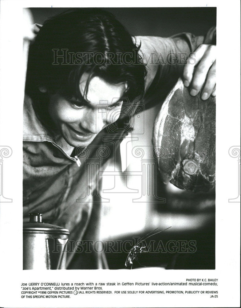 1996 Press Photo Jerry O&#39;Connell action animated musical comedy Joes Apartment - Historic Images