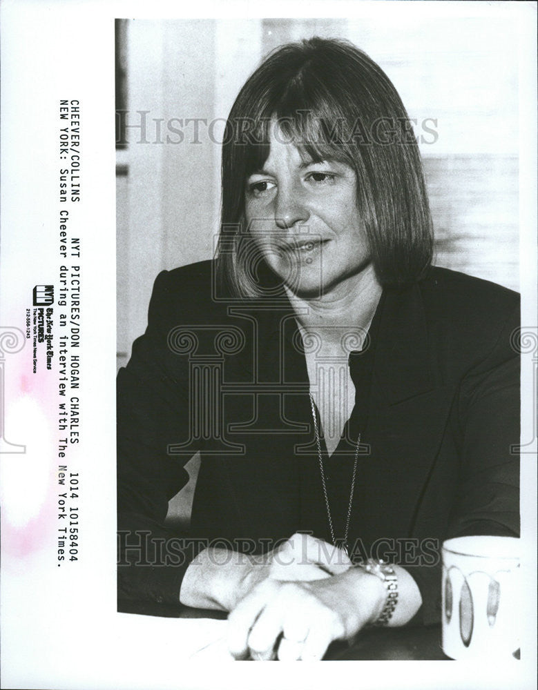 1985 Press Photo Susan Cheever Author - Historic Images