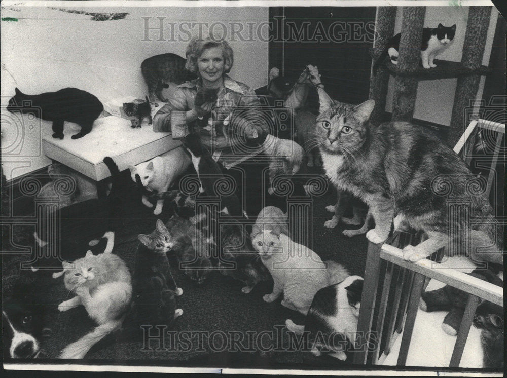 1975 Press Photo Dale Armon President Pet Rescue Inc Surrounded Stray Cats Dogs - Historic Images