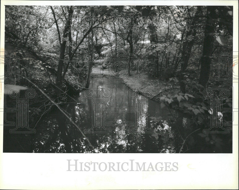 1984 Press Photo Michael DesForges Body Deer Creek Crete Home - Historic Images