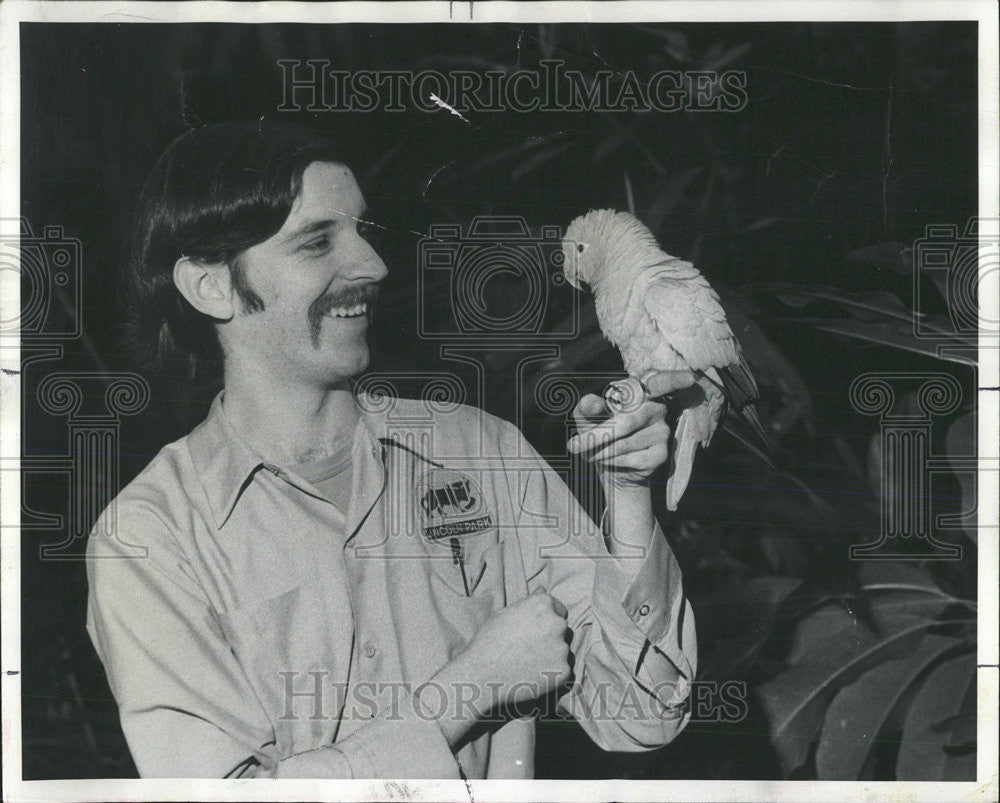 1977 Press Photo Lincoln Park Zoo Kevin Bell Curator - Historic Images