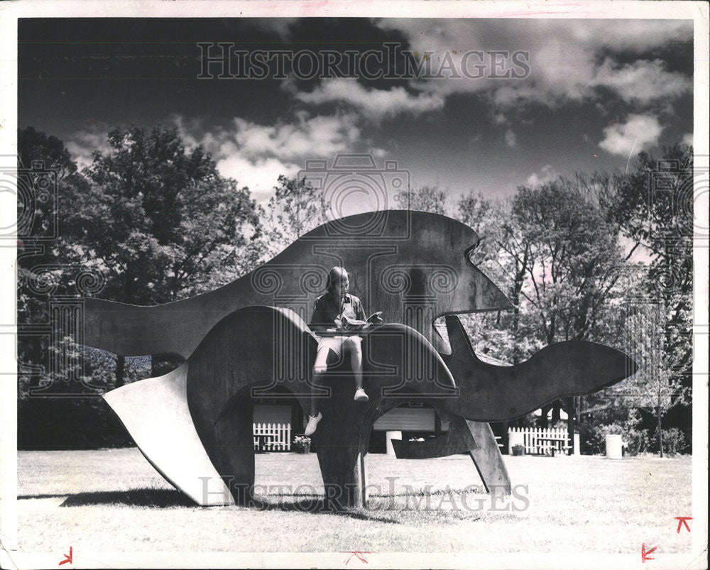 1984 Press Photo Large Natural Form Car Ten Steel Ravinia private collection - Historic Images