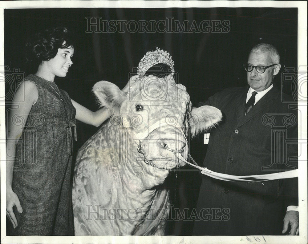 1977 Press Photo Jacqueline Grossman, Miss Charolais, the Bull and Owner of Bull - Historic Images