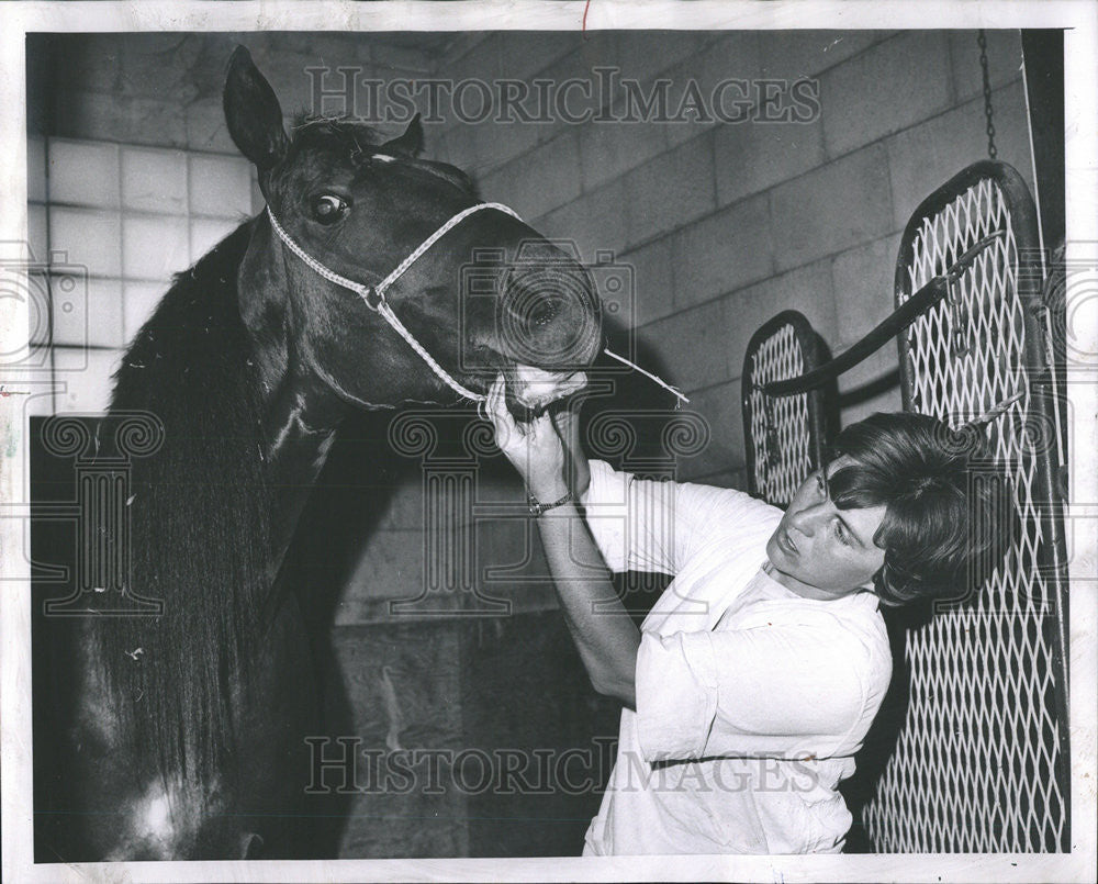 1969 Press Photo Veterinarian Dr Carol Hayes - Historic Images