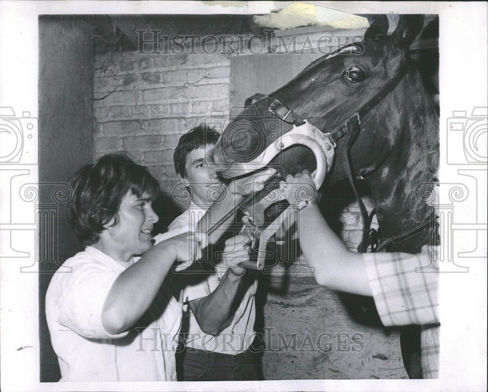 1969 Press Photo Dr. Carol Hayes, Veterinarian - Historic Images