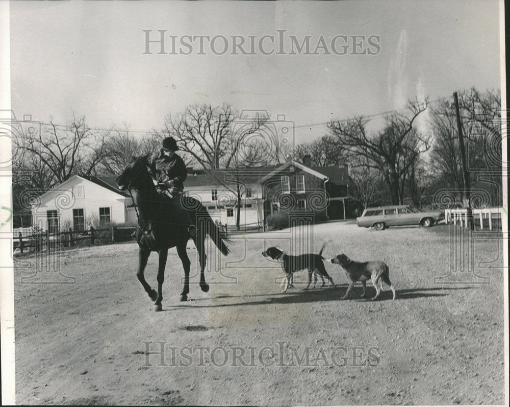 1966 Press Photo Katie hound Durham Wood Riding Club stables Lindsay Horse Wayne - Historic Images