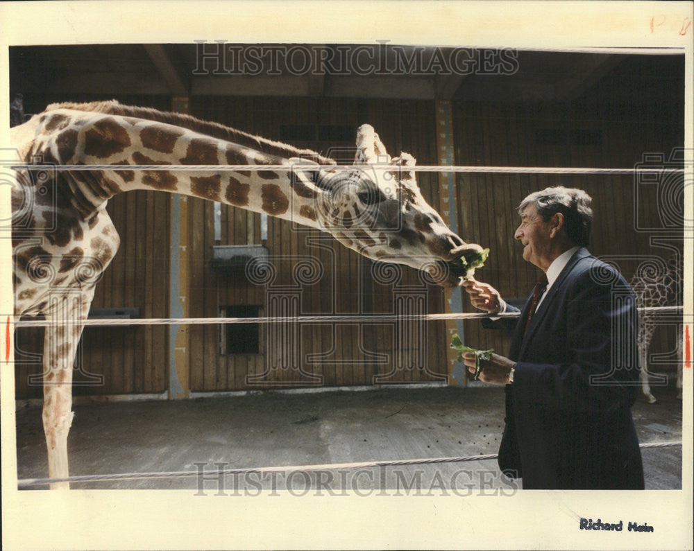 1992 Press Photo Lester Fisher retired director of Lincoln Park Zoo - Historic Images