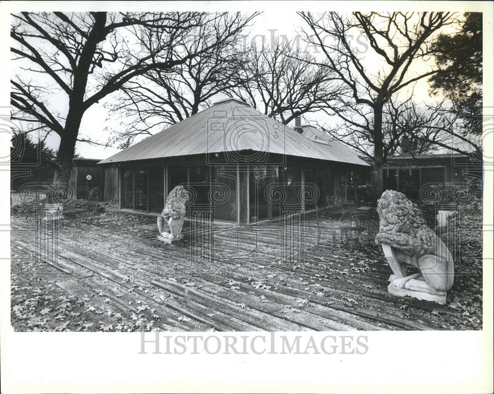 1982 Press Photo Shirley Nardin Chicago Artist &amp; Sculptor Residence - Historic Images