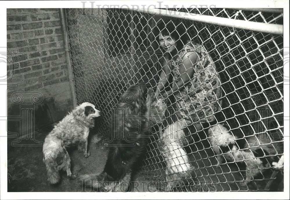 1977 Press Photo Mrs Florence Korba 41 dog she says missing get back - Historic Images