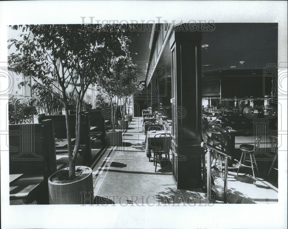 1981 Press Photo Eddie Levy Hillary Schaumburg dishes restaurants Kaplan Tavern - Historic Images