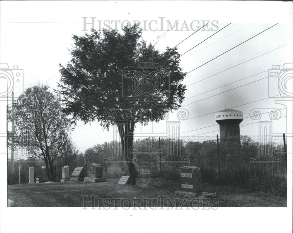 1994 Press Photo Edith Leonian Grave Property - Historic Images