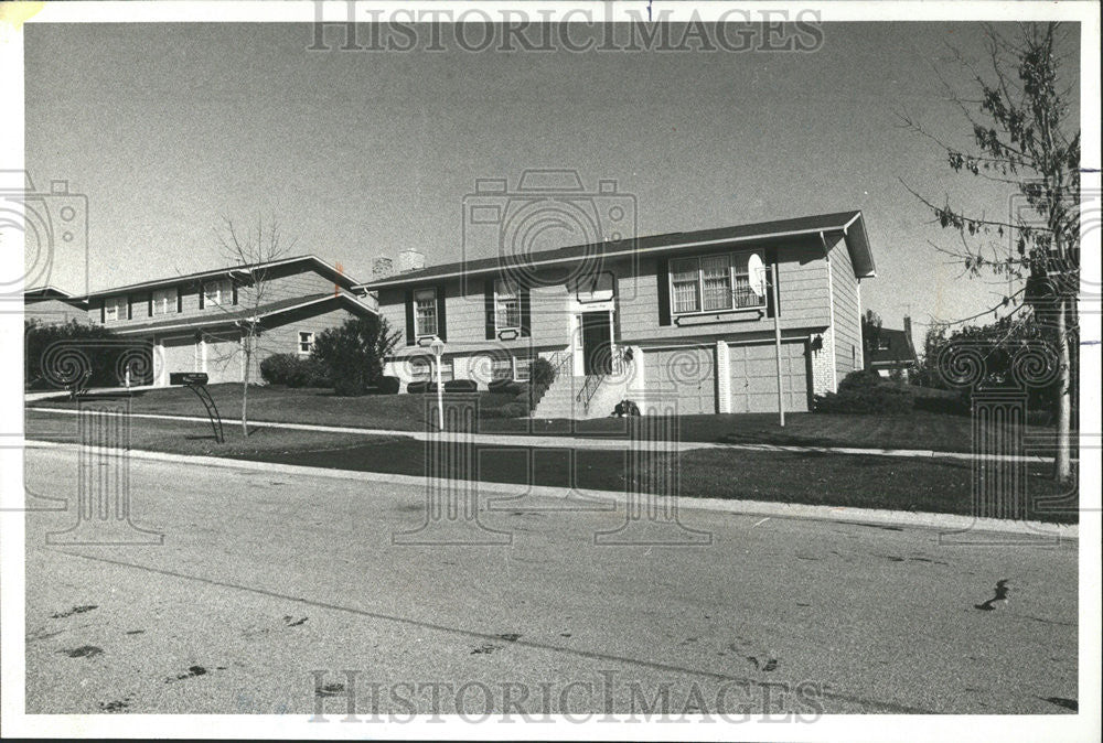 1977 Press Photo Elizabeth Drew Downer Grove Campus Illinois Benedictine College - Historic Images