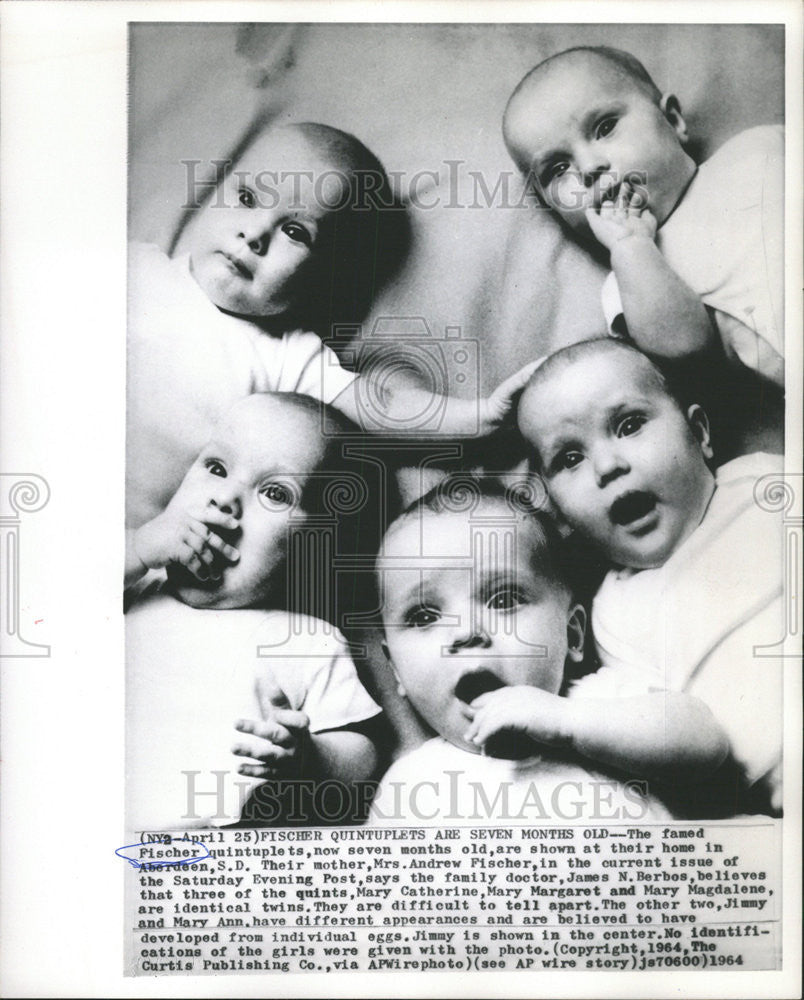 1964 Press Photo the Fischer Quintuplets at 7 months old - Historic Images