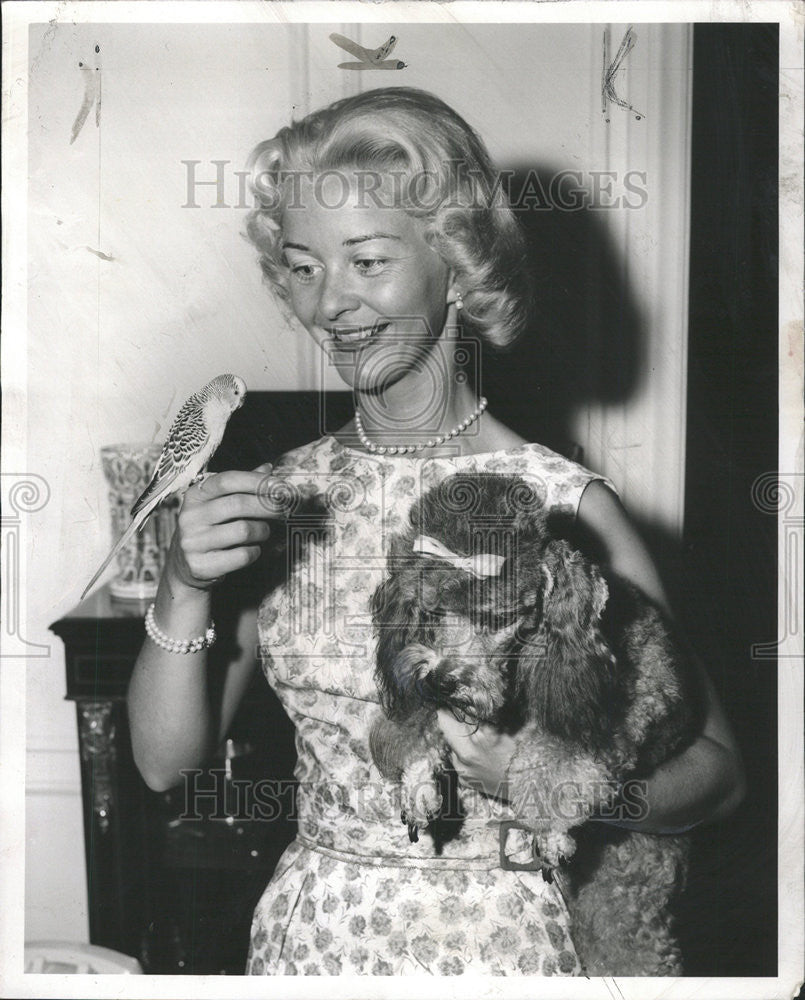 1959 Press Photo Barbara Ann Scott Former Olympic Figure Skating Champion Bird - Historic Images