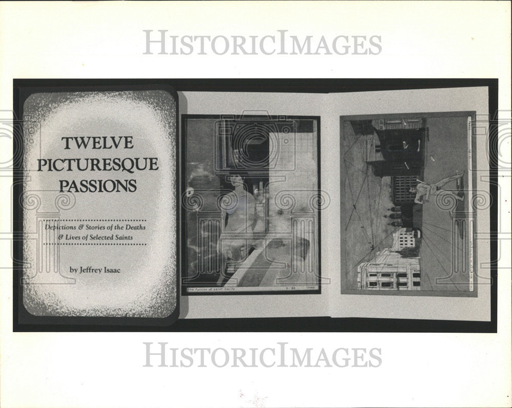 1984 Press Photo Jeffrey Issac Twelve Picturesque Passions Artists book Author - Historic Images